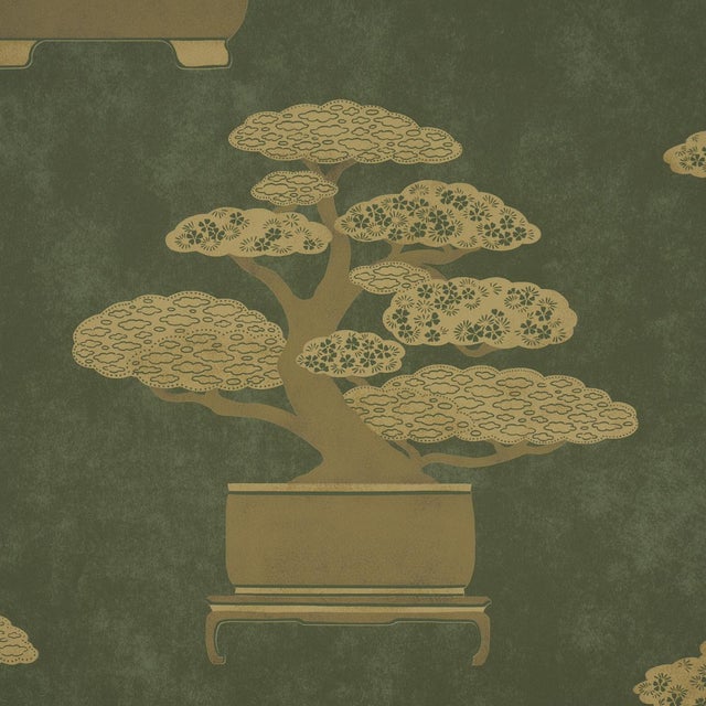 Traditional Sample - Schumacher Bonsai Tree Wallcovering In Olive For Sale - Image 3 of 5