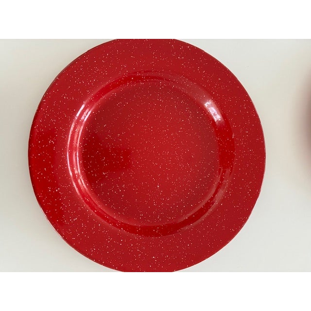 Paint Pottery Barn Enamel Dinner Set of 10 Plates and Bowls For Sale - Image 7 of 7