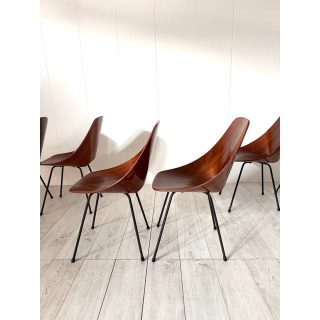 Vintage Medea Chairs by Vittorio Nobili for Fratelli Tagliabue, 1950s, Set of 6 For Sale - Image 10 of 15