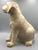 1980s Ceramic Golden Labrador Puppy Figurine, 1980s For Sale - Image 5 of 14