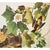Farmhouse 1966 Vintage Cottage Print "Baltimore Oriole" After John James Audubon For Sale - Image 3 of 7
