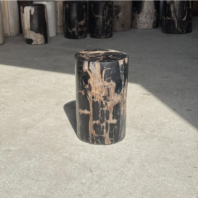 Small Side Table in Black Petrified Wood with Beige Striations, 1980s For Sale - Image 16 of 18
