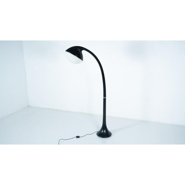 Lampione Floor Lamp attributed to Fabio Lenci for Guzzini, 1970s For Sale - Image 9 of 10
