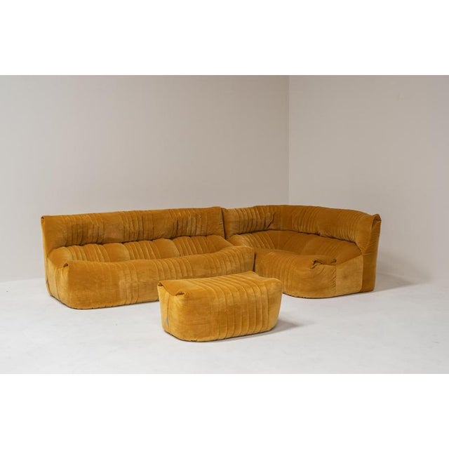 A rare Aralia modular sofa set designed by Michel Ducaroy for Ligne Roset in the 1970s. This iconic composition consists...
