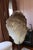 Carved from a singular Brazilian quartz formation weighing approximately 190 pounds (86 kg), Balam is a museum-quality...