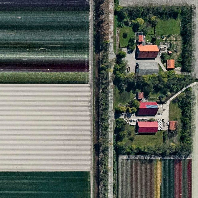 Not Yet Made - Made To Order "AV_Tulip_Fields_001" Contemporary Limited Edition Fine Art Photograph Print by Bernhard Lang For Sale - Image 5 of 12