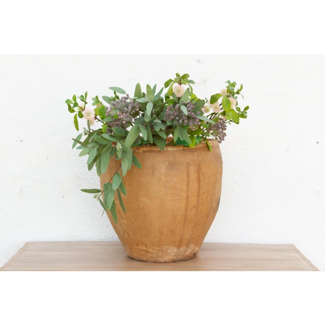 Mythical Guardian Paper Maché Basket For Sale - Image 12 of 12