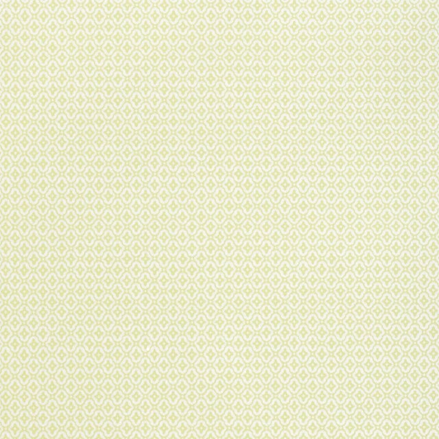 Contemporary Sample - Schumacher Coconut Grove Wallpaper in Leaf For Sale - Image 3 of 3