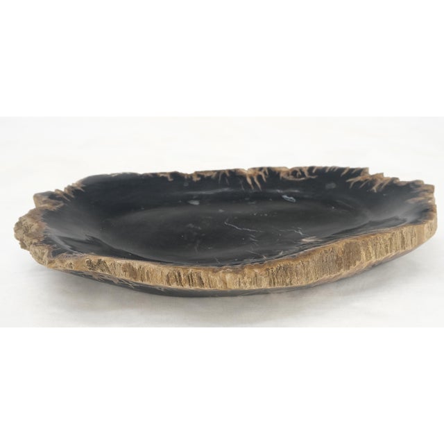 Petrified Wood Heart Shape Solid Black Elongated Bowl Dish Large Plate Ashtray For Sale - Image 4 of 8
