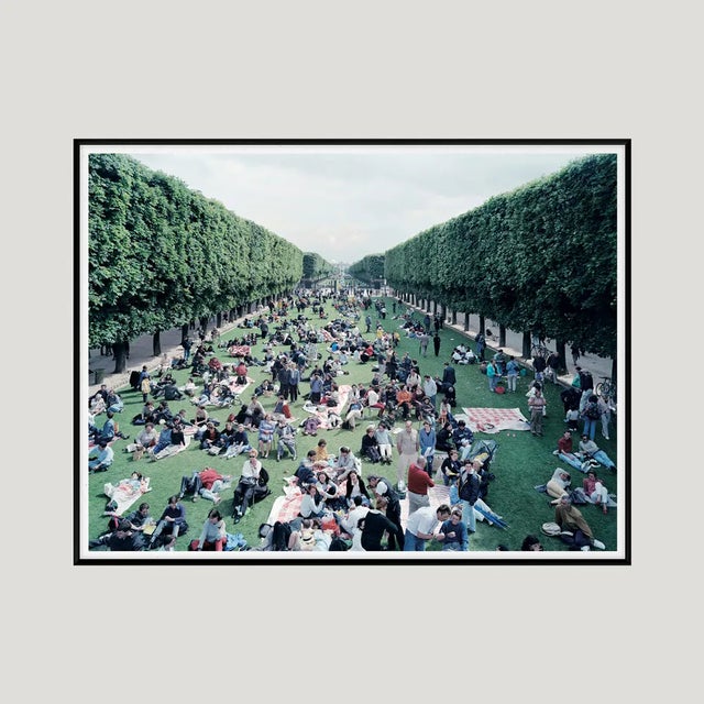 2000 - 2009 Massimo Vitali, Pic Nic Allée, 2000, Photolithograph For Sale - Image 5 of 5