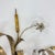 Mid-Century Crystal Flower Bouquet Wall Sconce in the style of Banci, 1970s For Sale - Image 15 of 18