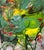 Dark Green Contemporary Abstract Oil on Canvas "Summer Queen" by Petra Schott For Sale - Image 8 of 9
