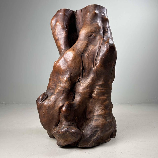 Large Tsuge (椿) burl wood decoration. Dimensions: height 60 cm, width 35 cm, depth 35 cm. Weight: 27 kilograms....