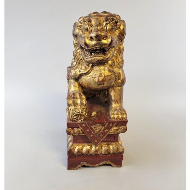 Wood Early Giltwood Chinese Guardian Lion Foo Dog Architectural Carving – 12" High For Sale - Image 7 of 12