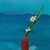 Mount Fuji and Flowers Poster after David Hockney For Sale - Image 5 of 6