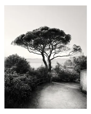 Bay of Poets - Black and White Analogue Photogrpahy of Italian Coast, 40x32cm 2023