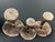 Late 20th Century Set of 3 Folk Art Carved Wood Mushroom Sculpture #M45 For Sale - Image 10 of 10