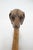 Brown Victorian Dog With Collar Inset Eyes Carved Wood Folk Art Walking Stick Cane For Sale - Image 8 of 10