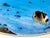 1990s Robert Wyland and Roy Tabora Art Piece For Sale - Image 13 of 16