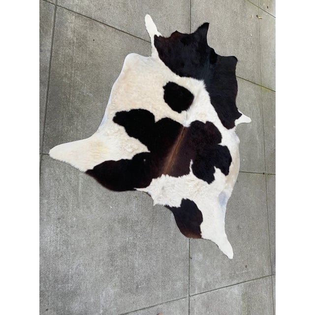 Black and white natural cowhide. You can add this rug under a table, by itself, or anywhere else for a little extra...