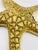 Metal Mid 20th Century Solid Brass Starfish For Sale - Image 7 of 12