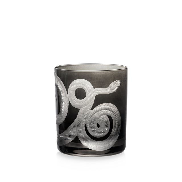 Victorian Cabinet of Curiosities Double Old Fashioned Glasses, Set of 6 Snake, Smoke For Sale - Image 3 of 4