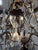 Louis XV Crystal 12-Light Cage Chandelier from Maison Baguès For Sale - Image 3 of 14