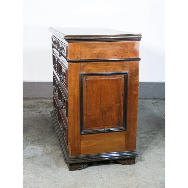 Wood Louis XIV Walnut and Briarwood Discò Canterano, 1700s For Sale - Image 7 of 12