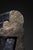 Cor Dam, Abstract Sculpture, Clay For Sale - Image 8 of 11