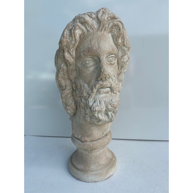 Vintage Greco Roman Style Plaster Bust For Sale - Image 4 of 11