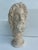 Vintage Greco Roman Style Plaster Bust For Sale - Image 4 of 11
