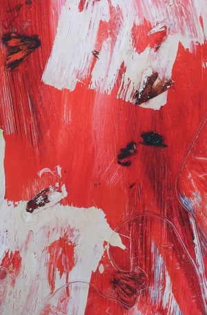 Abstract Red & White Print