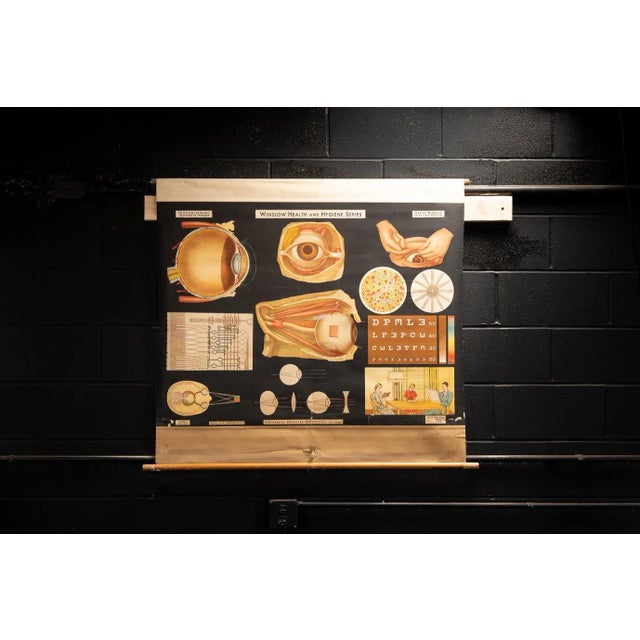 1950s Winslow Heath and Hygiene Series. W11: The Eye. For Sale - Image 9 of 9