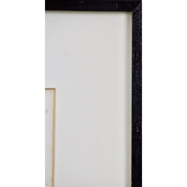 Honoré Daumier 19th Century Daumier Satirical Lithograph "Triumph of the Botanist", 1844 For Sale In San Francisco - Image 6 of 6