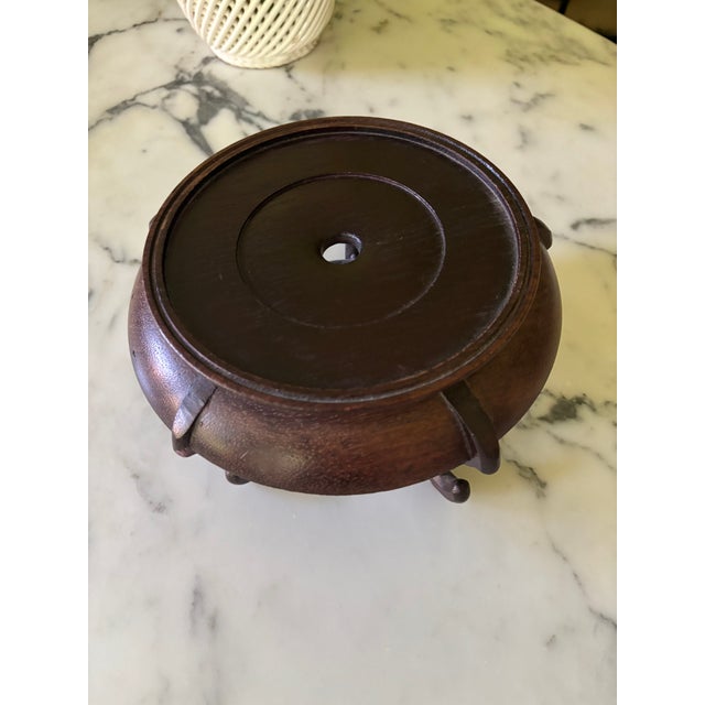 Brown Cabinet of Curiosities Glass Cloche With Bird’s Nest Wrapped in Dried Gypsophila on Decorative Asian Wooden Stand For Sale - Image 8 of 15
