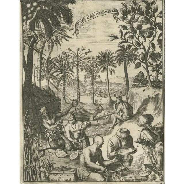 Global Harvests and Crafts: from the East Indies to Chinese Lacquerwork, 1800s, Paper For Sale - Image 9 of 12