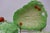 Ceramic Vintage Carlton Ware & Beswick Lettuce-and-Tomato Collection With Japanese Covered Bowl — Set of 5 For Sale - Image 7 of 18