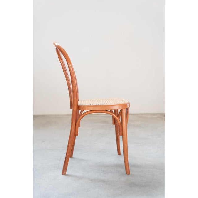 Chairs in Curved Beech Wood and Straw Seat, 1990s, Set of 12 For Sale - Image 13 of 17