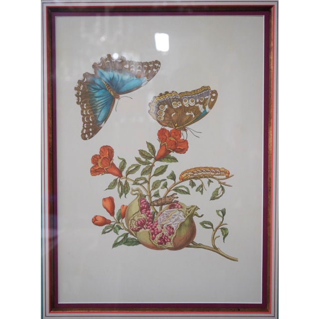 Age: Approx. 100 Years Old Details: Stunning Colored Engraving Prints Vibrant Colors & Details Professionally Framed &...