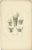 Anatomy Illustrations of Ligaments and Joints, 1839, Prints, Set of 13 For Sale - Image 4 of 15