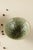 Japanese Japanese Ceramic Bowl With Kiln-Transformed Veined Patterns - Set of 2 For Sale - Image 3 of 6