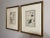 Victorian Antique Custom Framed Botanical Engravings - a Pair For Sale - Image 3 of 12