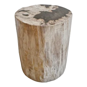 Vintage Petrified Wood Stump Side Table