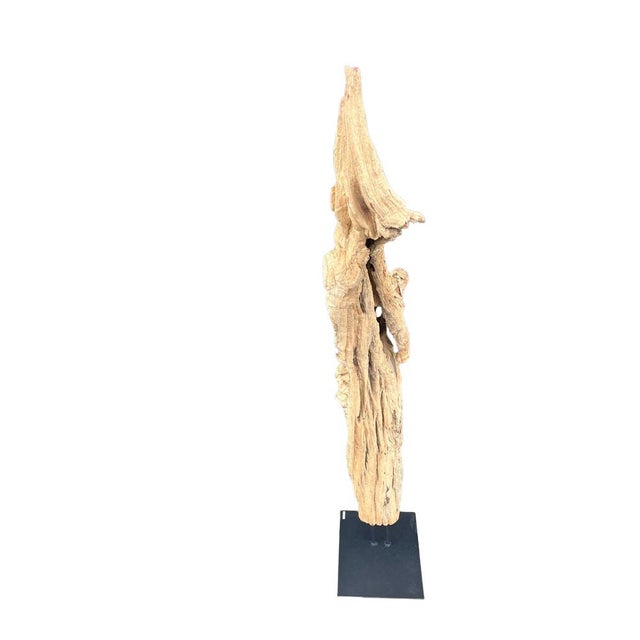 An antique driftwood carving hailing from the Chiang Mai Region of Northern Thailand has been placed on a custom metal...