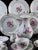 1980s Rote Rose Coffee Service in Porcelain from Meissen, Germany, 1980s, Set of 23 For Sale - Image 5 of 17