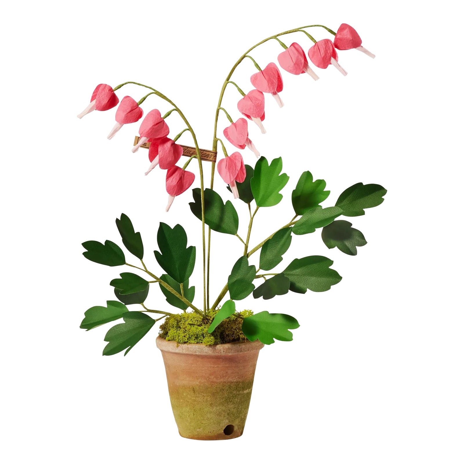 the-green-vase-bleeding-heart-
