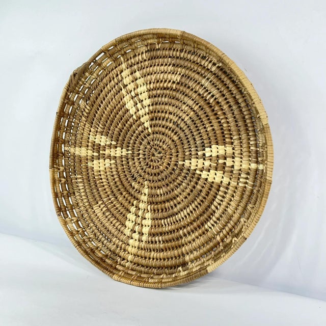 African Early 20th Century Botswana Basket 17inch MATTER COLLECTION For Sale - Image 3 of 6