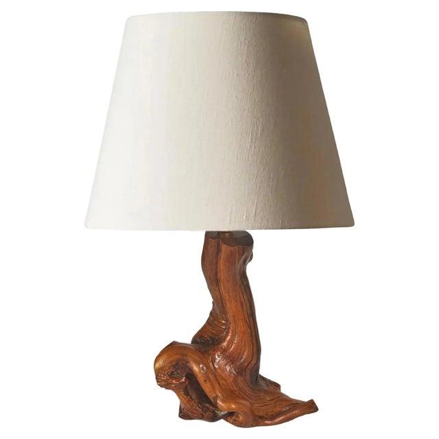 Brown Sculptural Table Lamp in an Olive Wood, 1950 For Sale - Image 8 of 8