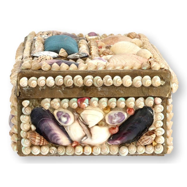French Seaside Souvenir Shell Box For Sale In Los Angeles - Image 6 of 7