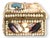 French Seaside Souvenir Shell Box For Sale In Los Angeles - Image 6 of 7